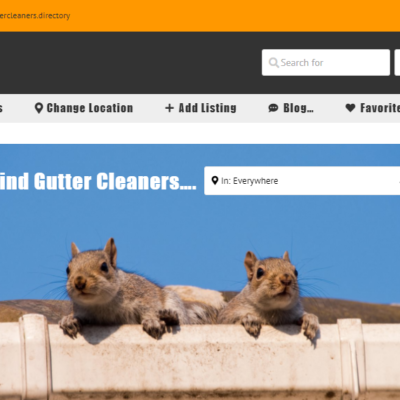 Gutter Cleaners 1 400x400