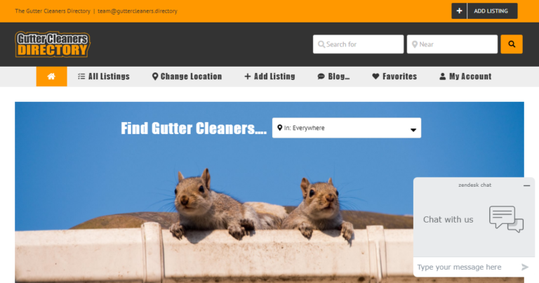 Gutter Cleaners 1 768x403